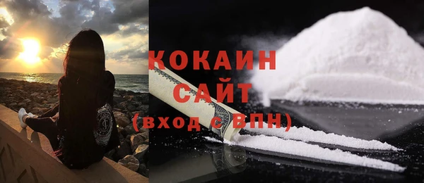 ешки Арсеньев