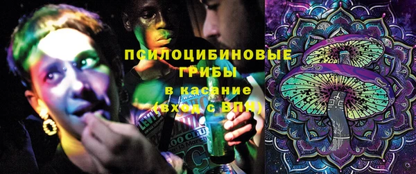 ешки Арсеньев