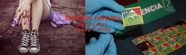 крисы Аркадак