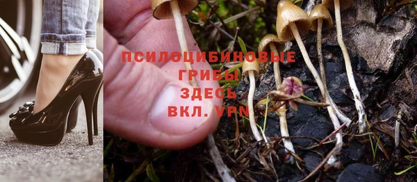дмт Армянск